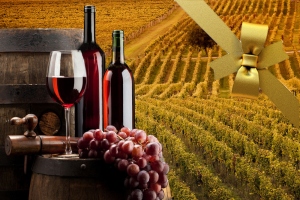 El enoturismo es un pilar econ&oacute;mico del sector vitivin&iacute;cola