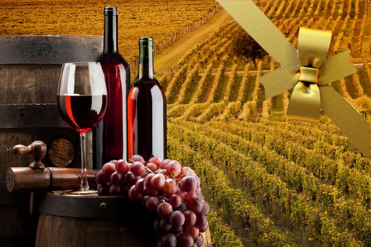 El enoturismo es un pilar econ&oacute;mico del sector vitivin&iacute;cola