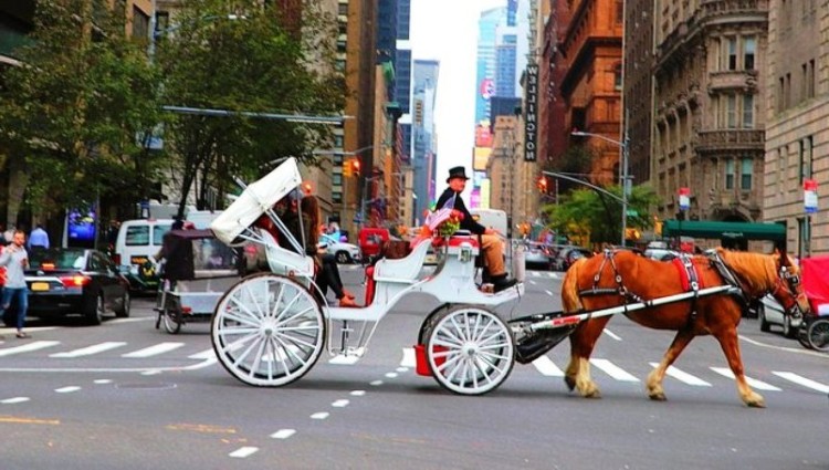 Nueva York debate la prohibición de carruajes tirados por caballos