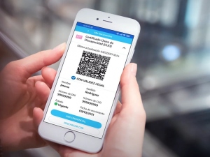 San Mart&iacute;n de los Andes lanz&oacute; un sistema gratuito de reversas