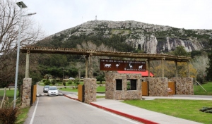 El cerro Pan de Azúcar te garantiza conexión con la naturaleza