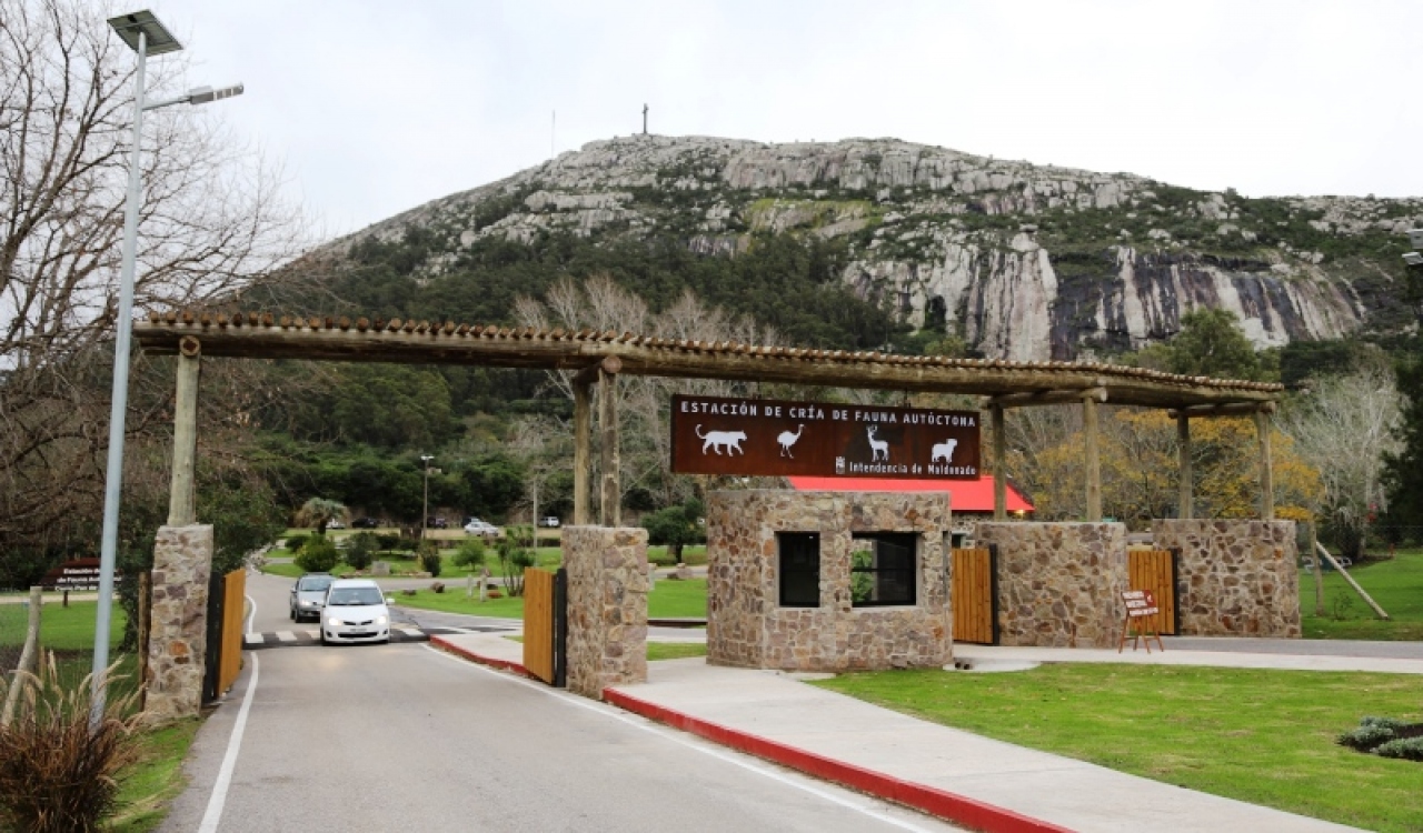 El cerro Pan de Azúcar te garantiza conexión con la naturaleza