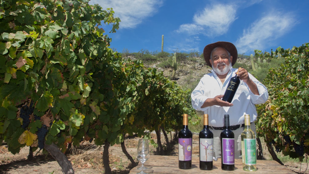 La Ruta del Vino de Altura es un atractivo tur&iacute;stico tucumano