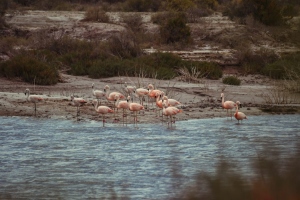 San Luis robusteci&oacute; su red de &Aacute;reas Naturales Protegidas