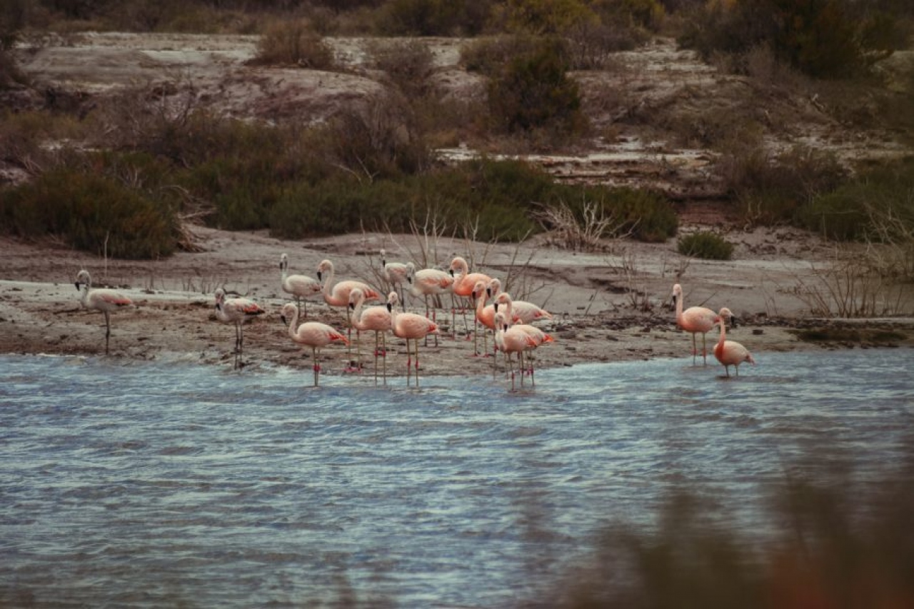 San Luis robusteci&oacute; su red de &Aacute;reas Naturales Protegidas
