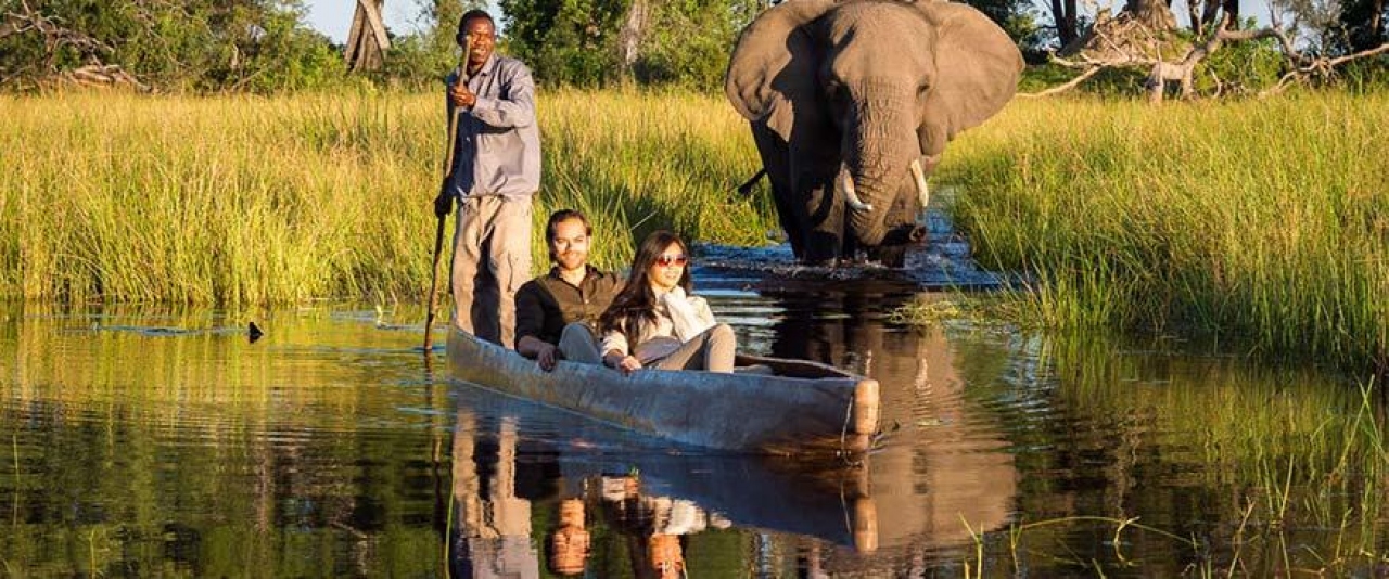 Los mejores parques africanos para disfrutar de un safari fotográfico
