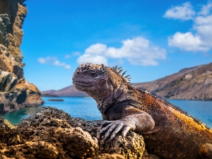 La Isla Galápagos es el destino turístico más destacado de América del Sur