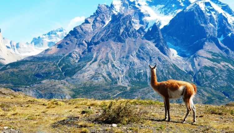 Chile es el mejor destino turístico verde del mundo