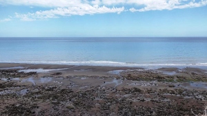 La Ensenada es un destino emergente que combina naturaleza y cultura