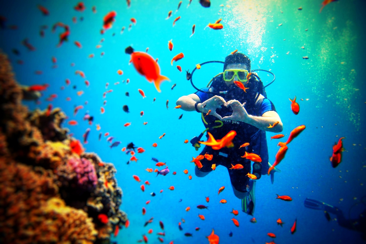 Chubut renov&oacute; su atractivo tur&iacute;stico con buceo, snorkel y lobos marinos