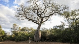 "El turismo transform&oacute; la matriz productiva del Chaco"