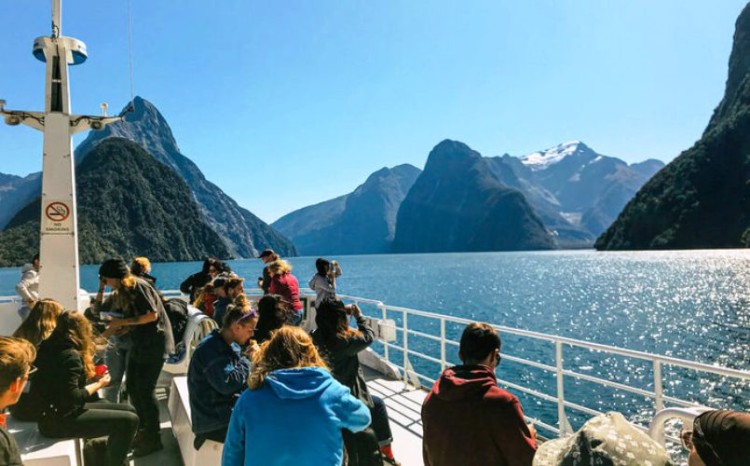 Guía práctica para disfrutar de la naturaleza en Nueva Zelanda