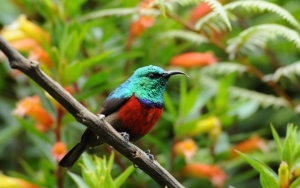 &quot;El turismo justifica económicamente la conservación de la naturaleza&quot;