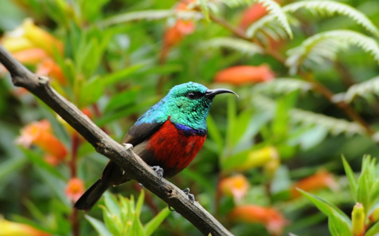 &quot;El turismo justifica económicamente la conservación de la naturaleza&quot;
