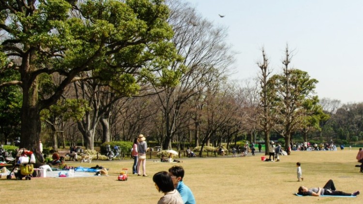 Tokio renovará el Jardín Kitanomaru para atraer más visitantes extranjeros
