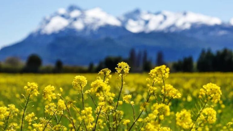 32 pueblos argentinos se candidatearon para competir en Best Tourism Villages