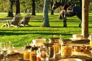El senado bonaerense aprob&oacute; un proyecto de ley sobre turismo rural