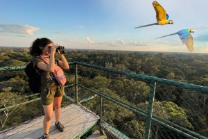 El turismo ornitol&oacute;gico creci&oacute; con apoyo de la tecnolog&iacute;a