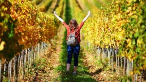 El enoturismo tiene cita en Espa&ntilde;a e Italia