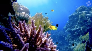 Arabia Saudita apuesta por el turismo regenerativo