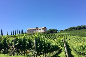 Conoc&eacute; la capital del vino del sur de Brasil